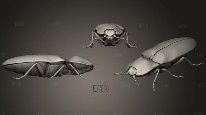 Insect beetles 91 stl model for CNC